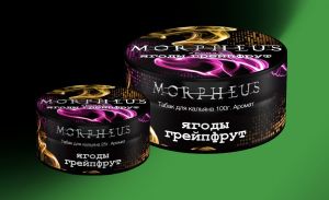 ����� ��� ������� MORPHEUS 100 �� - ����� ���������
