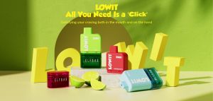 ����� Elf Bar Lowit + ��������� Lowit 5500 �������